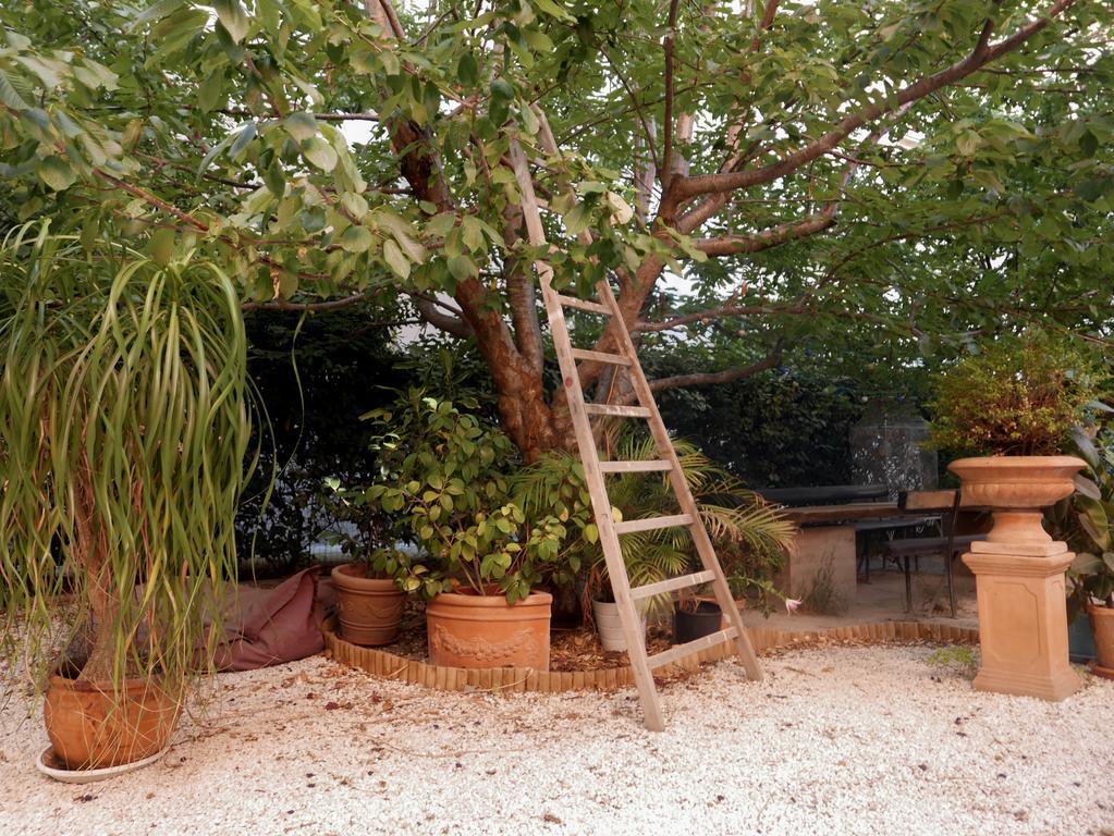 Vieux Port Panier Jardin Hotel Marseille Ngoại thất bức ảnh