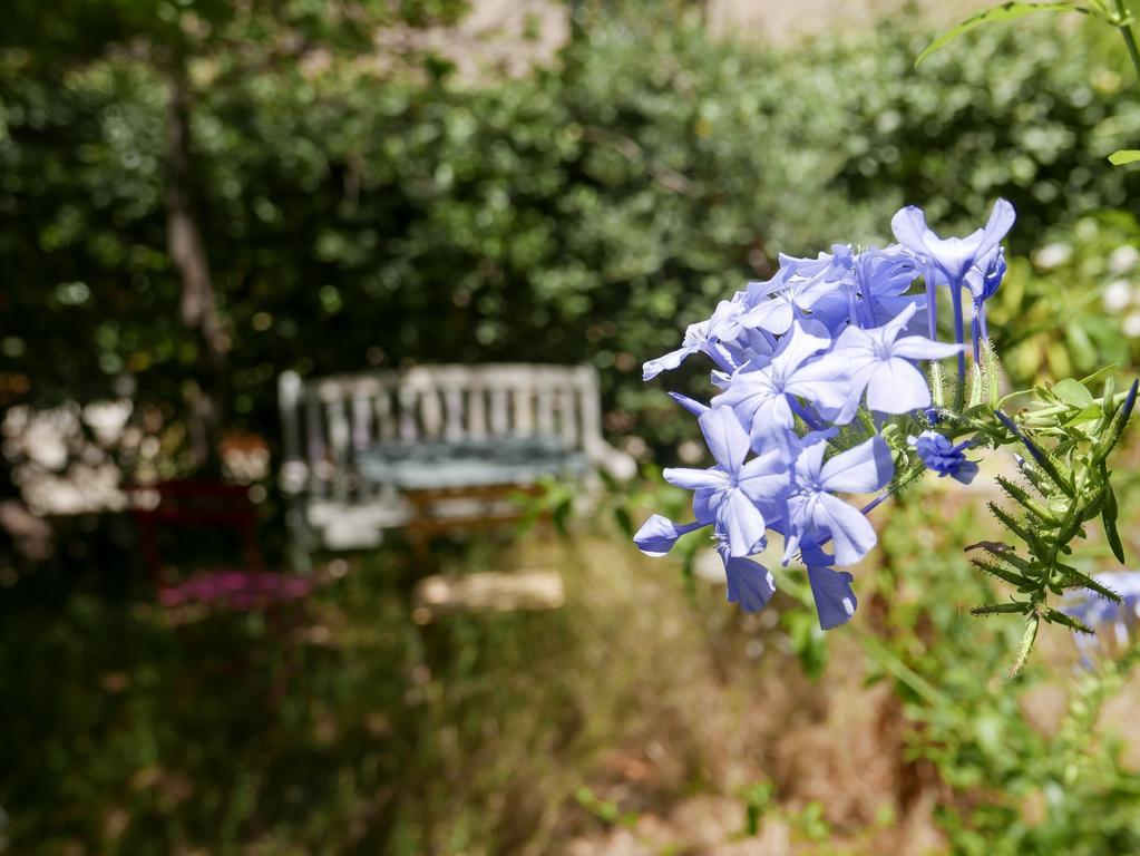 Vieux Port Panier Jardin Hotel Marseille Ngoại thất bức ảnh