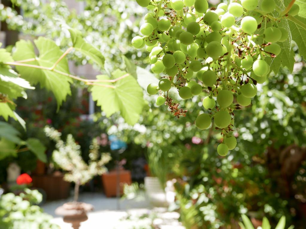 Vieux Port Panier Jardin Hotel Marseille Ngoại thất bức ảnh